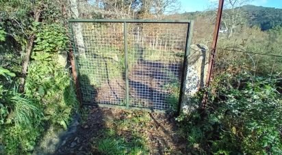 Terrain à Cristoval de 10 043 m²