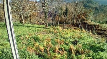 Land in Cristoval of 10,043 m²