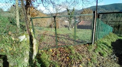 Terrain à Cristoval de 10 043 m²