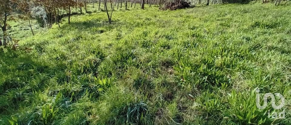 Terrain à Cristoval de 10 043 m²