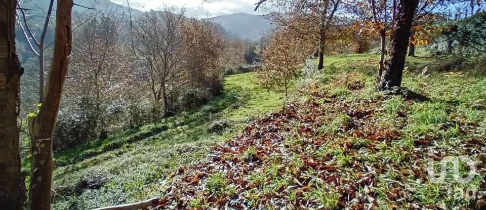 Land in Cristoval of 10,043 m²