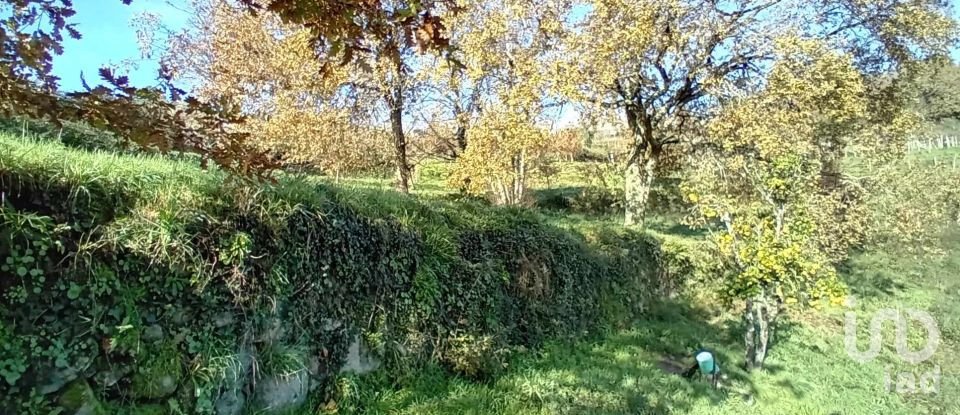 Terrain à Cristoval de 10 043 m²