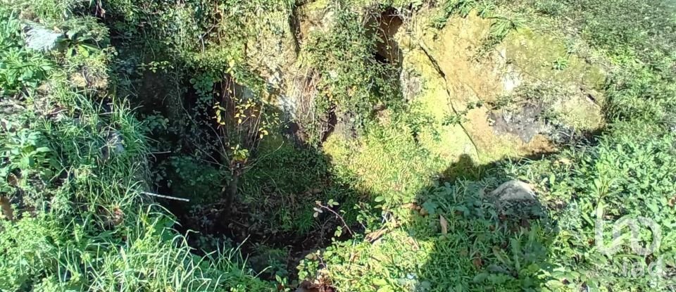 Terrain à Cristoval de 10 043 m²