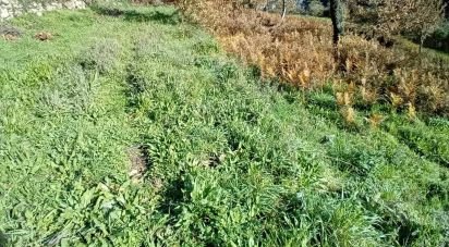 Terrain à Cristoval de 10 043 m²