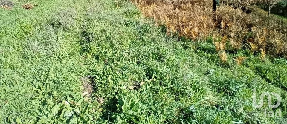 Terrain à Cristoval de 10 043 m²