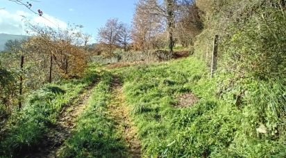 Terrain à Cristoval de 10 043 m²