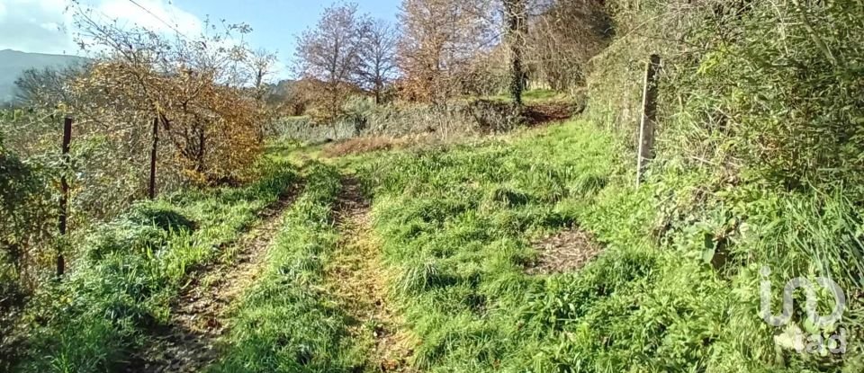 Terrain à Cristoval de 10 043 m²