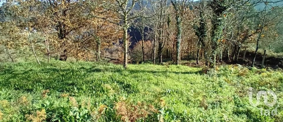 Terrain à Cristoval de 10 043 m²