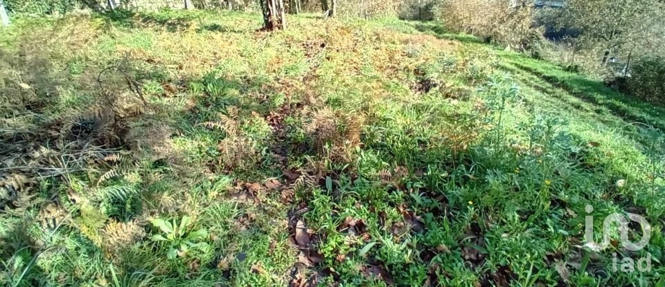 Terrain à Cristoval de 10 043 m²