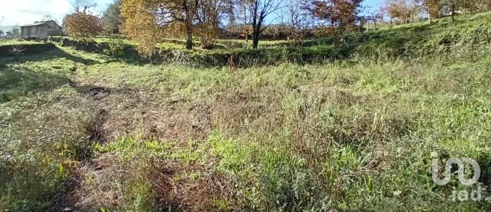 Terrain à Cristoval de 10 043 m²