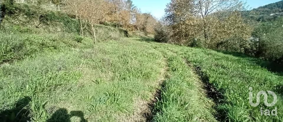 Terrain à Cristoval de 10 043 m²