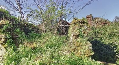 Maison de village T2 à Olalhas de 411 m²