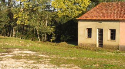 Gîte T2 à Tomar (São João Baptista) e Santa Maria dos Olivais de 44 m²