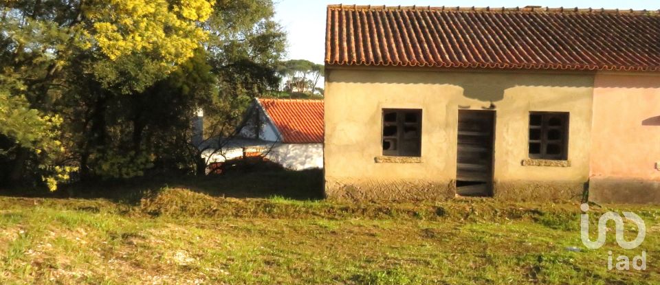Gîte T2 à Tomar (São João Baptista) e Santa Maria dos Olivais de 44 m²