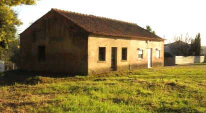 Lodge T2 in Tomar (São João Baptista) e Santa Maria dos Olivais of 44 m²