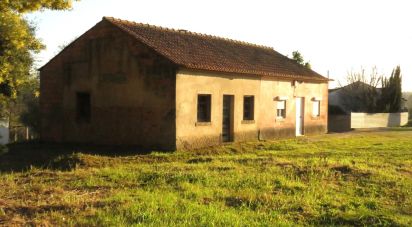 Gîte T2 à Tomar (São João Baptista) e Santa Maria dos Olivais de 44 m²