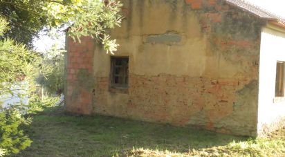 Gîte T2 à Tomar (São João Baptista) e Santa Maria dos Olivais de 44 m²