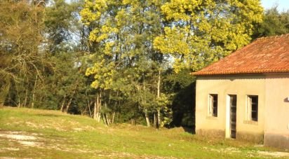 Gîte T2 à Tomar (São João Baptista) e Santa Maria dos Olivais de 44 m²