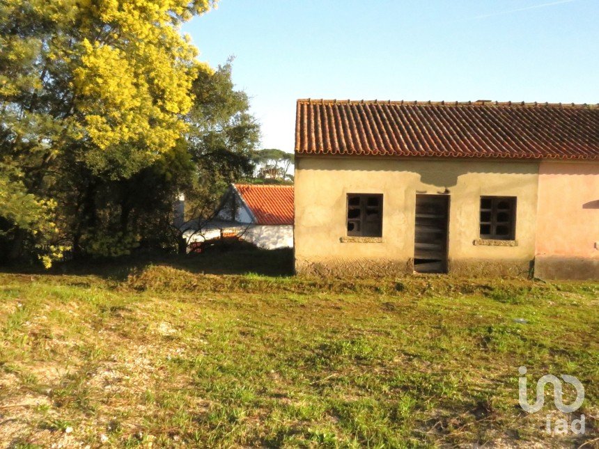 Gîte T2 à Tomar (São João Baptista) e Santa Maria dos Olivais de 44 m²