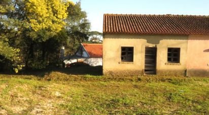 Gîte T2 à Tomar (São João Baptista) e Santa Maria dos Olivais de 44 m²