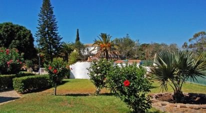 Gîte T4 à Lagoa e Carvoeiro de 224 m²