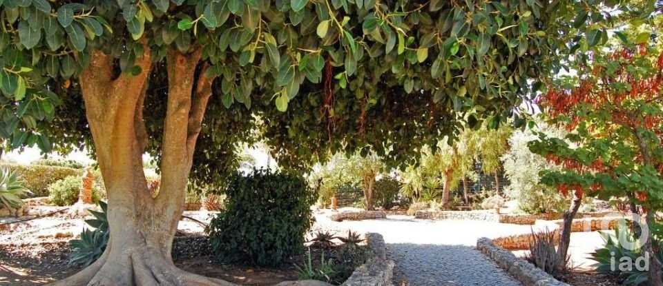 Casa T4 em Lagoa e Carvoeiro de 224 m²