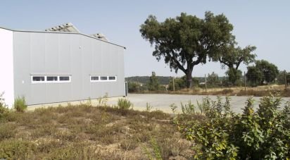 Hangar à Ponte de Sor, Tramaga e Vale de Açor de 1 400 m²