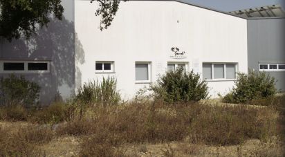Warehouse in Ponte de Sor, Tramaga e Vale de Açor of 1,400 m²