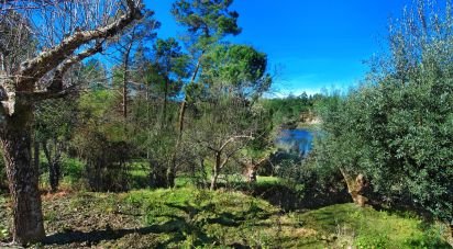 Terrain à bâtir à Serra e Junceira de 4 360 m²