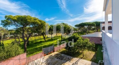 Shop / premises commercial in Almancil of 535 m²