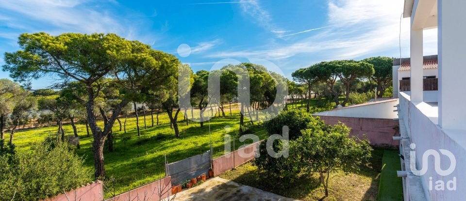 Shop / premises commercial in Almancil of 535 m²