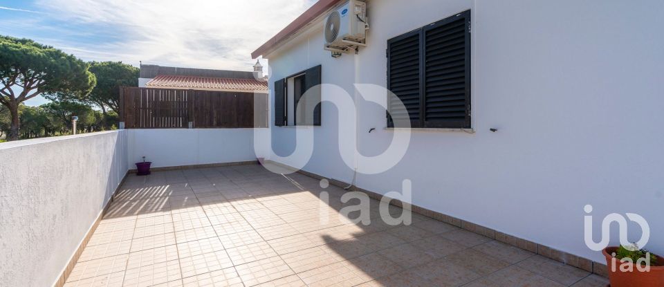 Shop / premises commercial in Almancil of 535 m²