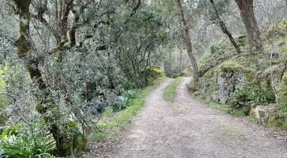 Ferme T2 à Póvoa de Midões de 80 m²