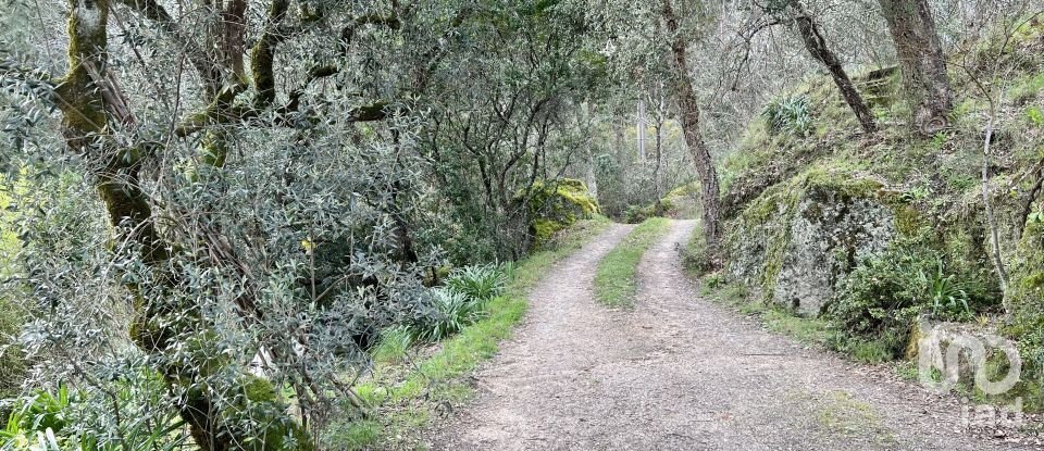 Ferme T2 à Póvoa de Midões de 80 m²