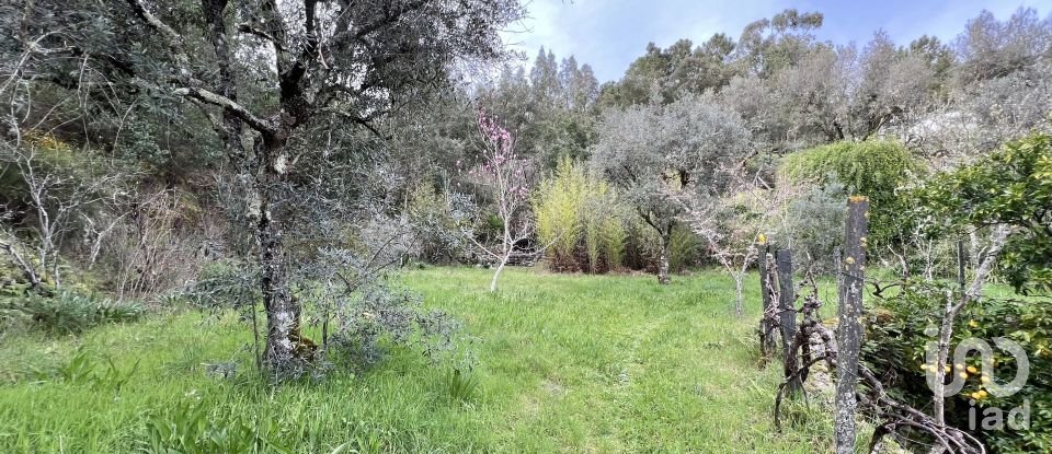 Ferme T2 à Póvoa de Midões de 80 m²