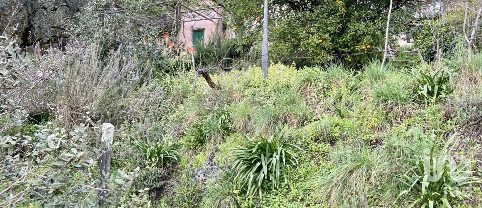 Ferme T2 à Póvoa de Midões de 80 m²