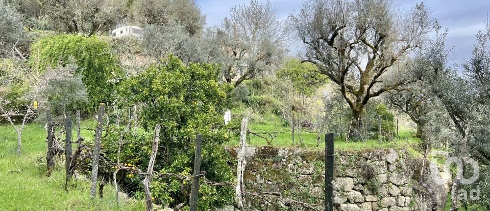 Ferme T2 à Póvoa de Midões de 80 m²