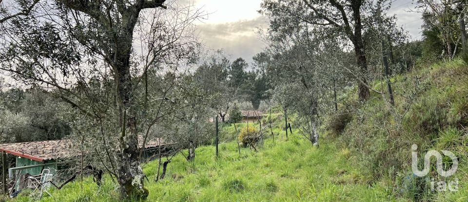 Ferme T2 à Póvoa de Midões de 80 m²