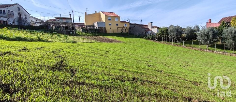 Maison de village T3 à Aguda de 1 960 m²