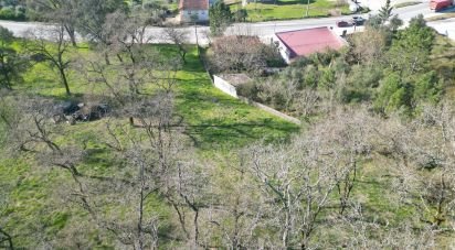 Maison traditionnelle T3 à São Miguel, Santa Eufémia e Rabaçal de 101 m²