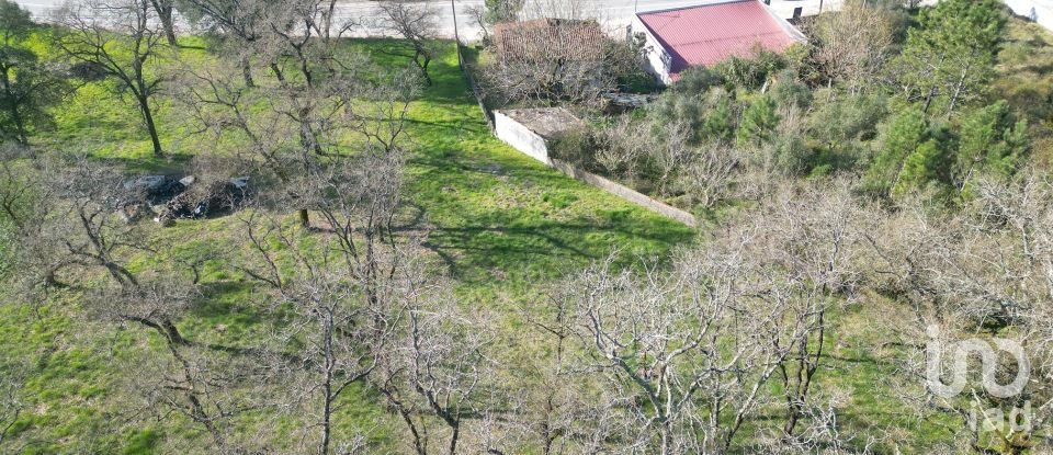 Casa tradicional T3 em São Miguel, Santa Eufémia e Rabaçal de 101 m²