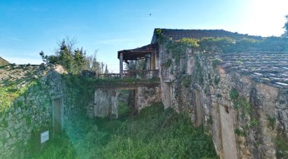 Maison de village T0 à São Miguel, Santa Eufémia e Rabaçal de 200 m²