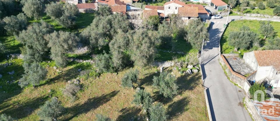 Maison de village T0 à São Miguel, Santa Eufémia e Rabaçal de 200 m²