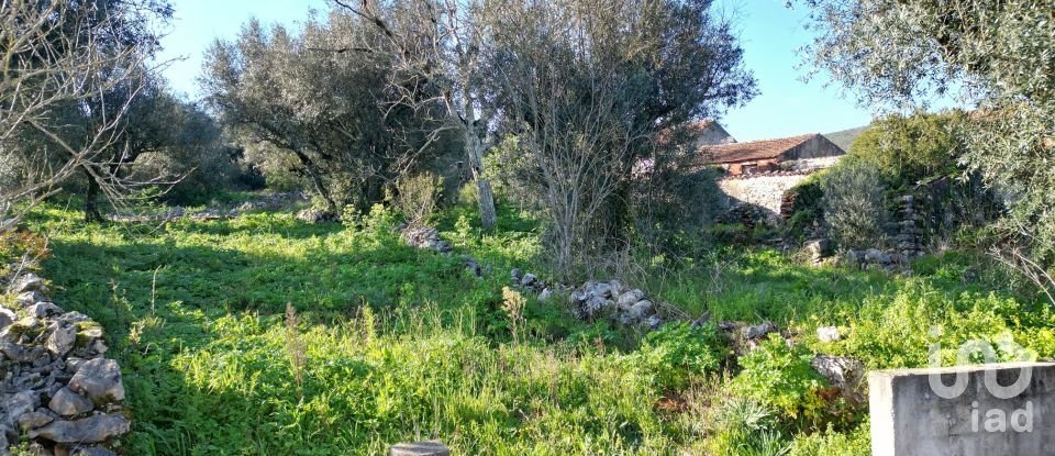 Maison de village T0 à São Miguel, Santa Eufémia e Rabaçal de 200 m²