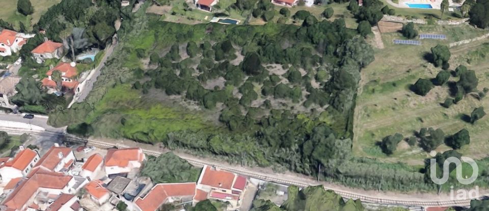 Land in Colares of 5,640 m²