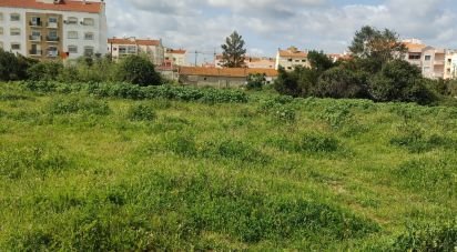 Terrain à bâtir à Pinhal Novo de 6 947 m²