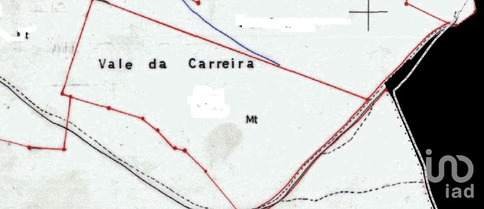 Land in Freixianda, Ribeira do Fárrio e Formigais of 8,000 m²