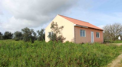 Casa / Villa T3 em Cartaxo e Vale da Pinta de 120 m²