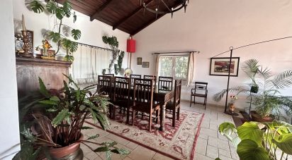 Maison T5 à Chamusca e Pinheiro Grande de 287 m²