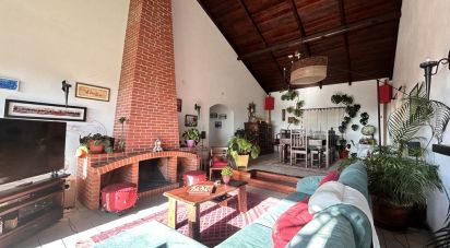 Maison T5 à Chamusca e Pinheiro Grande de 287 m²